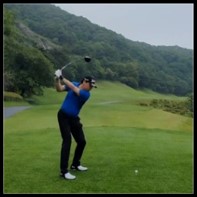 함박눈과 상관없는 이미지